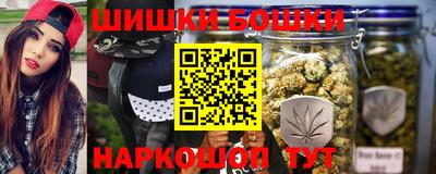 МДПВ Татарск