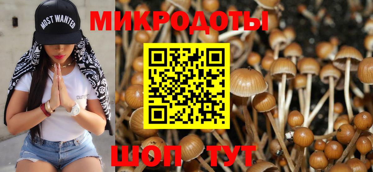 Новороссийск  Галлюциногенные грибы ЛСД  Вход с VPN 