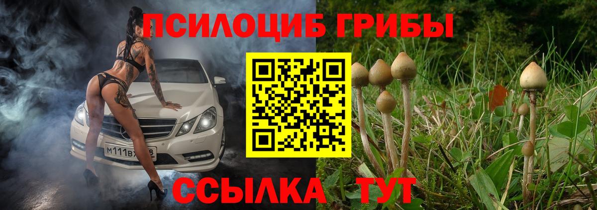Псилоцибиновые грибы мицелий Новороссийск
